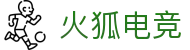火狐电竞 - 点燃电竞激情，赛出体育精神